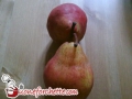 pere