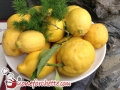 limoni