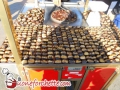 castagne