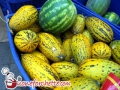 melone