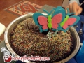 Torta Allegra